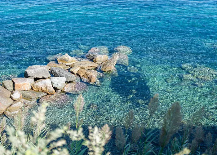 Villa Escalina With Private And A/c *